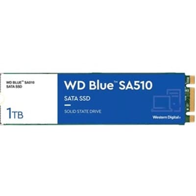 WD Bulk Canada - WD Blue SA510 1TB 2M.2 - WDS100T3B0B